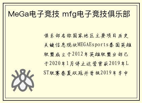 MeGa电子竞技 mfg电子竞技俱乐部